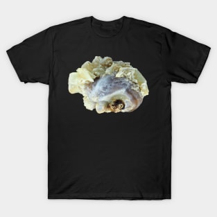 Small common human kidney stone T-Shirt